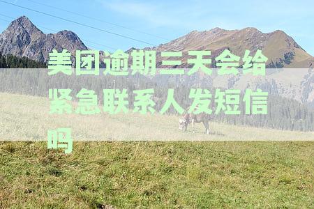 美团逾期还款后联系紧急联系人的具体流程与应对措解析
