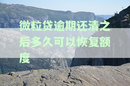 微粒贷逾期还款后多久才能再次借款：还清贷款资讯解读
