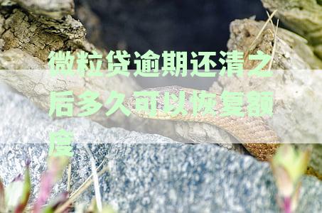 微粒贷逾期还款后额度恢复全解析：逾期影响、还款操作与额度恢复流程