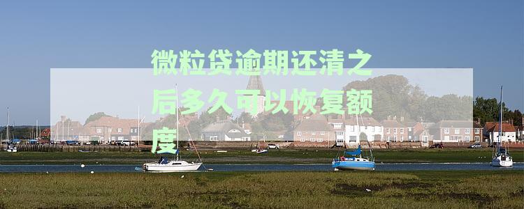 微粒贷逾期结清后多久能使用及恢复使用额度、资格详解