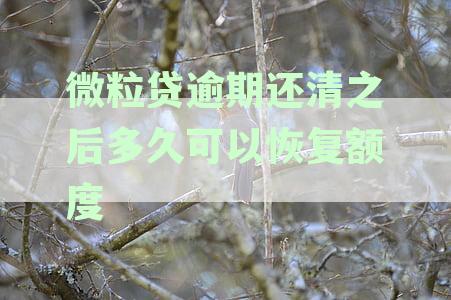 微粒贷逾期还清之后多久可以恢复额度