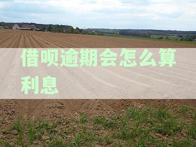 借呗逾期罚息政策解读：逾期费用、影响与应对策略全解析
