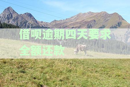 借呗逾期四天要求全额还款,但是支付上还款还是正常的-借呗逾期了四天把钱还进去以后还能再借出来吗