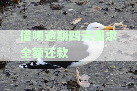 逾期四天借呗全额还款要求解析：支付宝仍按期还款怎么办？