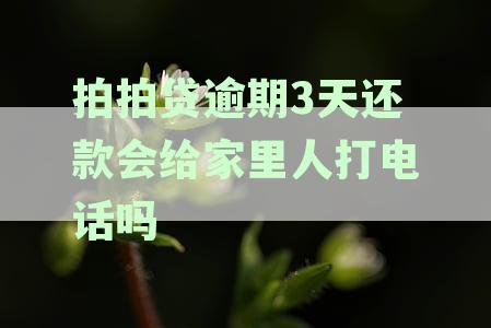 拍拍贷逾期还款风险解析：逾期3天是否会联系家人及可能面临的后果