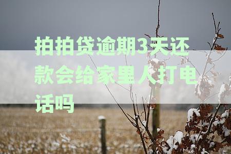 拍拍贷逾期3天还款会给家里人打电话吗安全吗-拍拍贷逾期3天还款会给家里人打电话吗安全吗