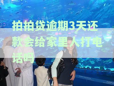 拍拍贷逾期3天未还款：紧急联系人是否会接到催款电话及可能面临的后果详解