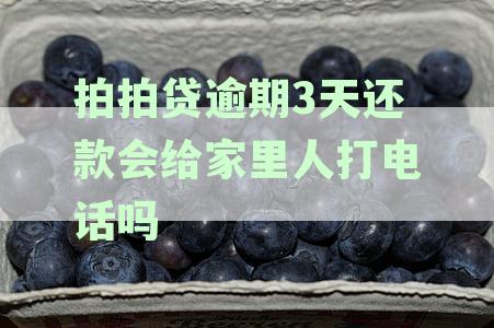 拍拍贷逾期3天还款会给家里人打电话吗