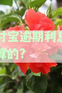 支付宝逾期还款利息计算方法及逾期后果详解