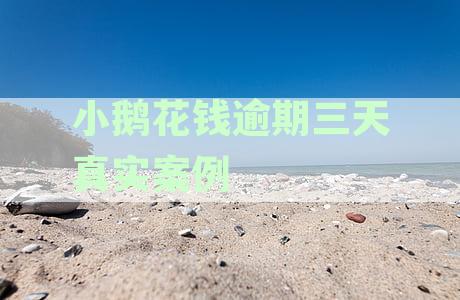 小鹅花钱逾期多久会影响征信记录