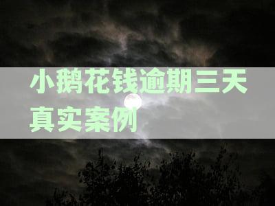 深度解析：小鹅花钱逾期两年亲身经历及应对策略，全面解答逾期还款疑问