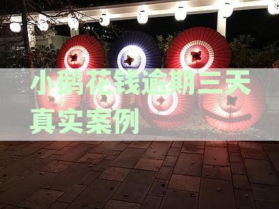 小鹅花钱逾期3天会怎么样：影响征信、使用情况及再次借款的可能性