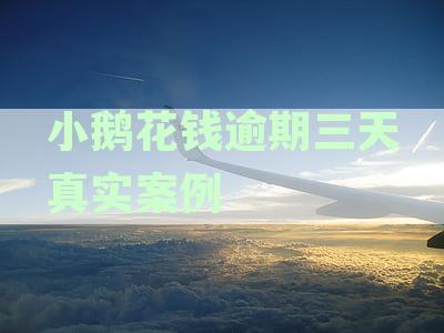 小鹅花钱逾期半年多久会触及法律红线，还会面临坐牢风险吗？