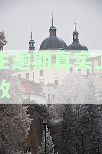全面攻略：如何应对民生逾期贷款真实上门催收的各种情况与应对策略