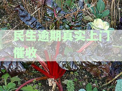 民生逾期会上门催收么：真实情况与上门催收可能性分析