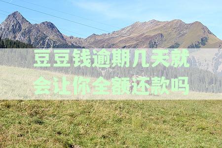 豆豆钱逾期还款对征信的影响：逾期天数、处理方法及预防措全解析