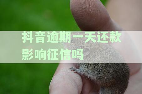 放心借逾期一天亲身经历：逾期一天对信用影响解析