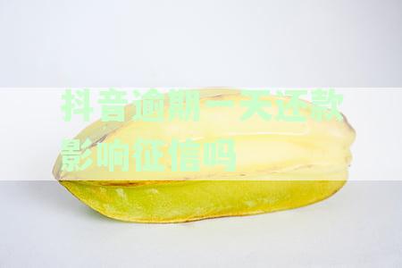 抖音逾期一天还款影响征信吗怎么办及办理方法解析