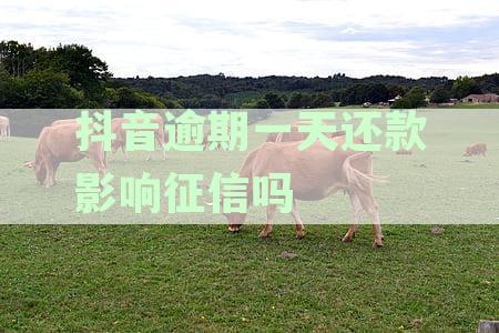 抖音逾期一天还款影响征信吗