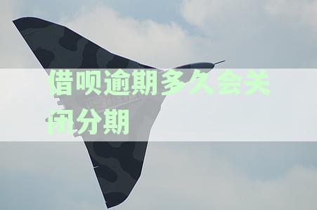 借呗逾期后分期业务取消时间及应对策略详解
