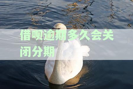 支付宝借呗逾期后还款多久将取消分期系统