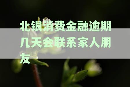 北银消费金融逾期一天：全面解析逾期后果与潜在风险影响