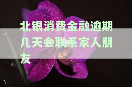 北银消费金融逾期2年：处理方法、逾期天数影响及后果解析