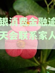 北银消费金融逾期8个月未联系：客户投诉无回应，逾期处理存疑虑