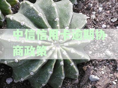 最新详解：中信银行信用卡逾期还款协商政策及流程全解析