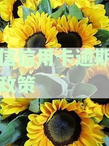 中信信用卡逾期协商政策深度解析：真实性与操作指南
