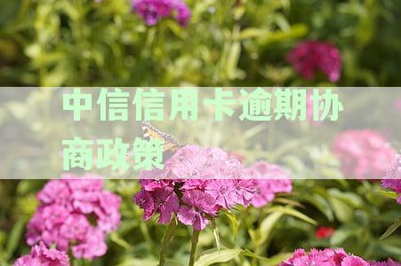 中信银行逾期还款协商指南：流程、技巧与成功率解析
