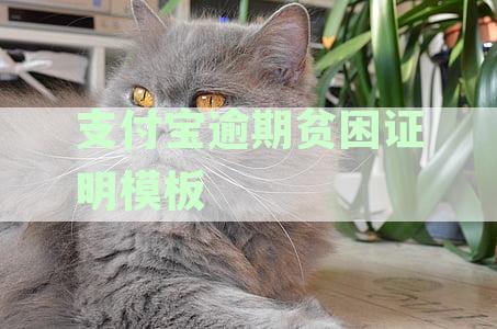 支付宝逾期贫困证明模板怎么填写：困难协商资讯全解析