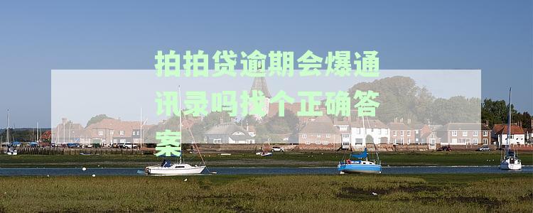 拍拍贷逾期会报通讯录吗：逾期是否会通知通讯录及安全性与拨打情况解析