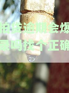 '拍拍逾期多久天会触发通讯录爆炸式催收'