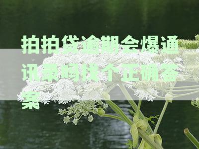 拍拍贷逾期未还后果详解：通讯录泄露风险及应对策略