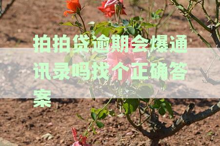拍拍贷逾期会给通讯录所有人打电话吗，是否安全、应对方法及合法性探讨