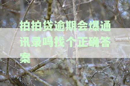 拍拍贷逾期会爆通讯录吗找个正确答案