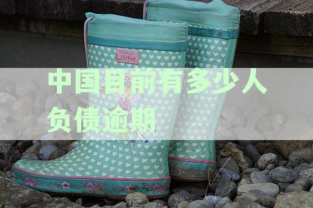 中国目前有多少人负债逾期