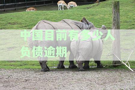中国负债逾期人群规模及逾期原因分析：逾期负债人数、比例与应对策略探究
