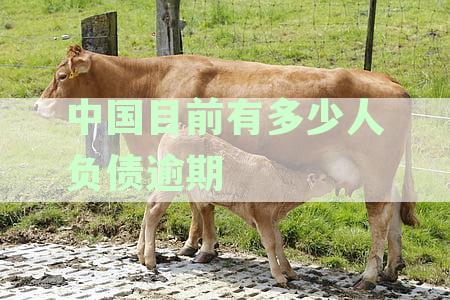 中国目前有多少人负债逾期