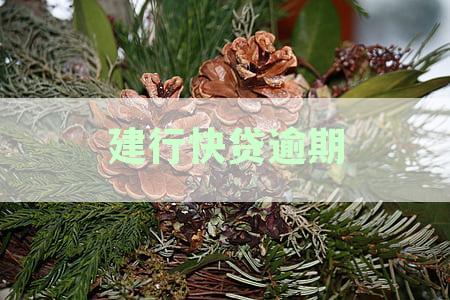 如何应对建行快贷逾期问题：协商解决方案与后续处理指南