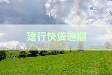 建设银行快贷逾期一天，多久后还能再次申请借款额度？