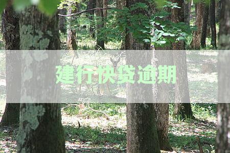 建行快贷逾期会扣其他的建行卡余额么-建行快贷逾期会扣其他的建行卡余额么
