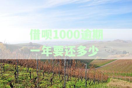 借呗1000元逾期一年利息计算及还款总额详解