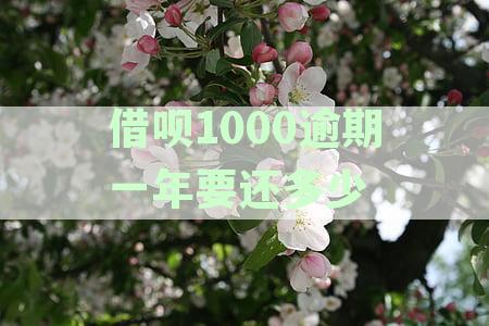 借呗1000逾期一年要还多少