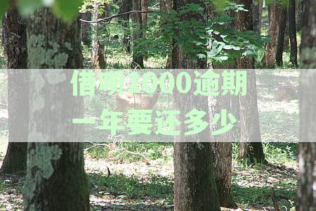 借呗借1000逾期按多少钱一天计算，一个月、一年利息及后果详解