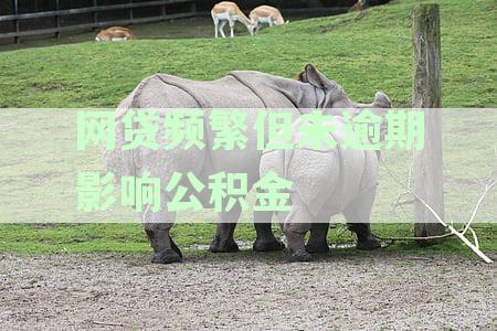 网贷次数频繁但未逾期，是否会影响公积金贷款的申请与审批？