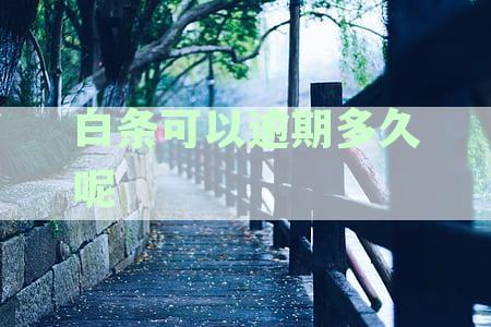 白条逾期还款全攻略：逾期10天如何处理及逾期时长解析