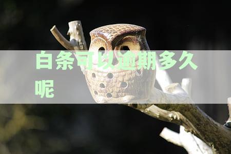 白条逾期10天能补救吗：逾期一个月亲身经历及后果