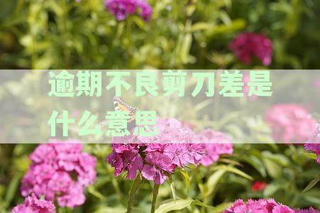 逾期不良贷款中的剪刀差是什么意思？银行不良贷款剪刀差含义解析
